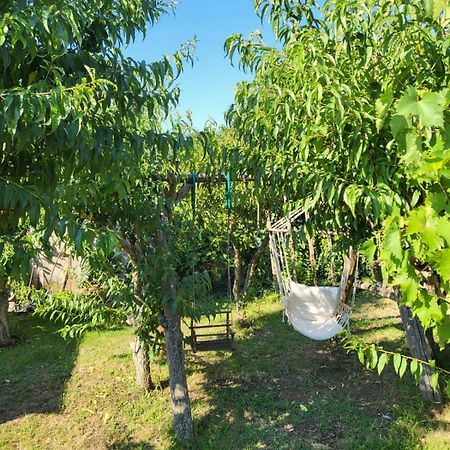 Vila Hipo Venus Kültér fotó